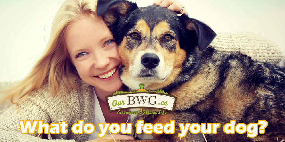 actrium dog food